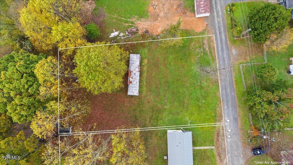 Photo #5: 295 Ernie Drive