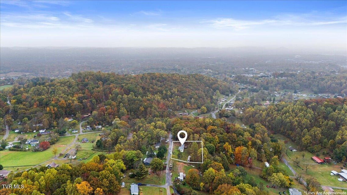 Photo #32: 295 Ernie Drive