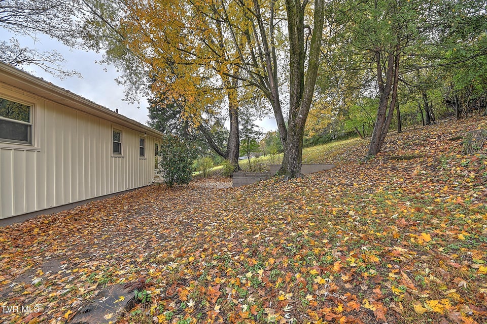 Photo #44: 425 Seminole Road