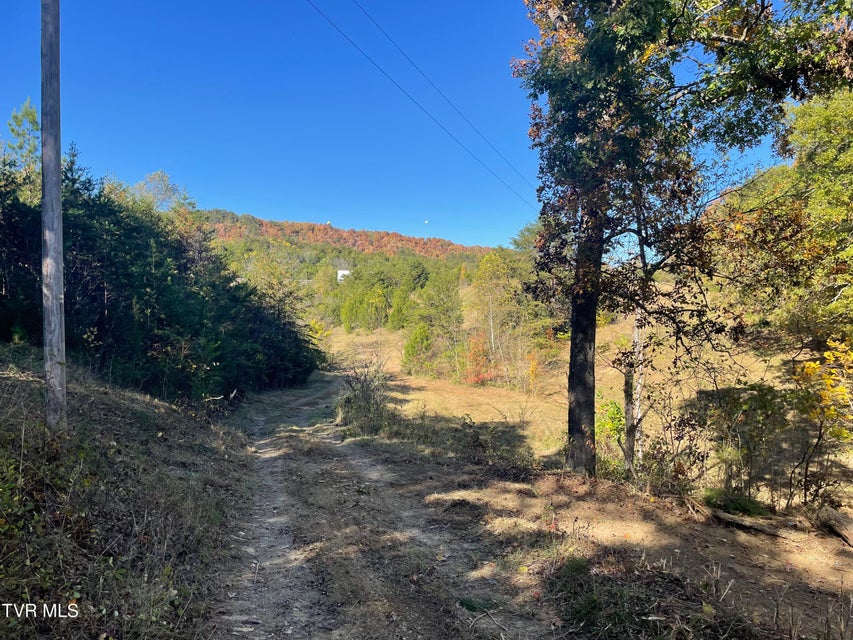 Photo #25: 2280 Westwood Road