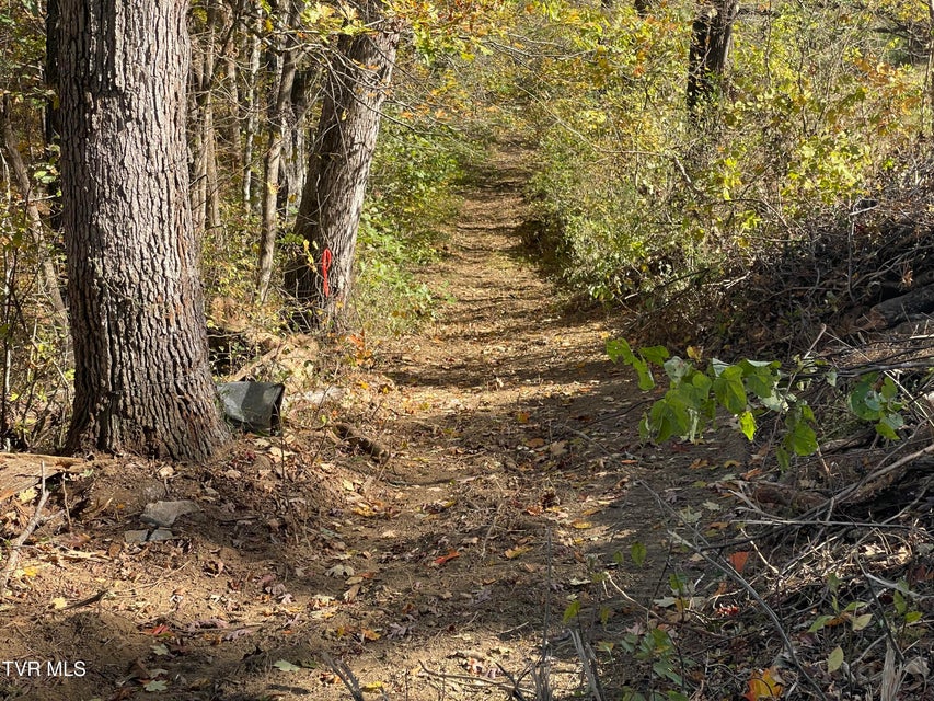 Photo #26: 2280 Westwood Road