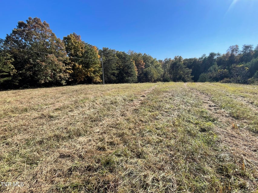 Photo #31: 2280 Westwood Road