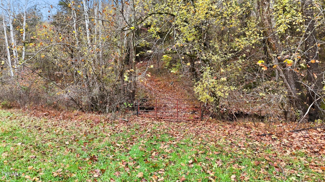 Photo #8: 5367 Clinch Mountain Road