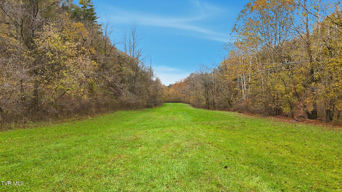 Photo #10: 5367 Clinch Mountain Road