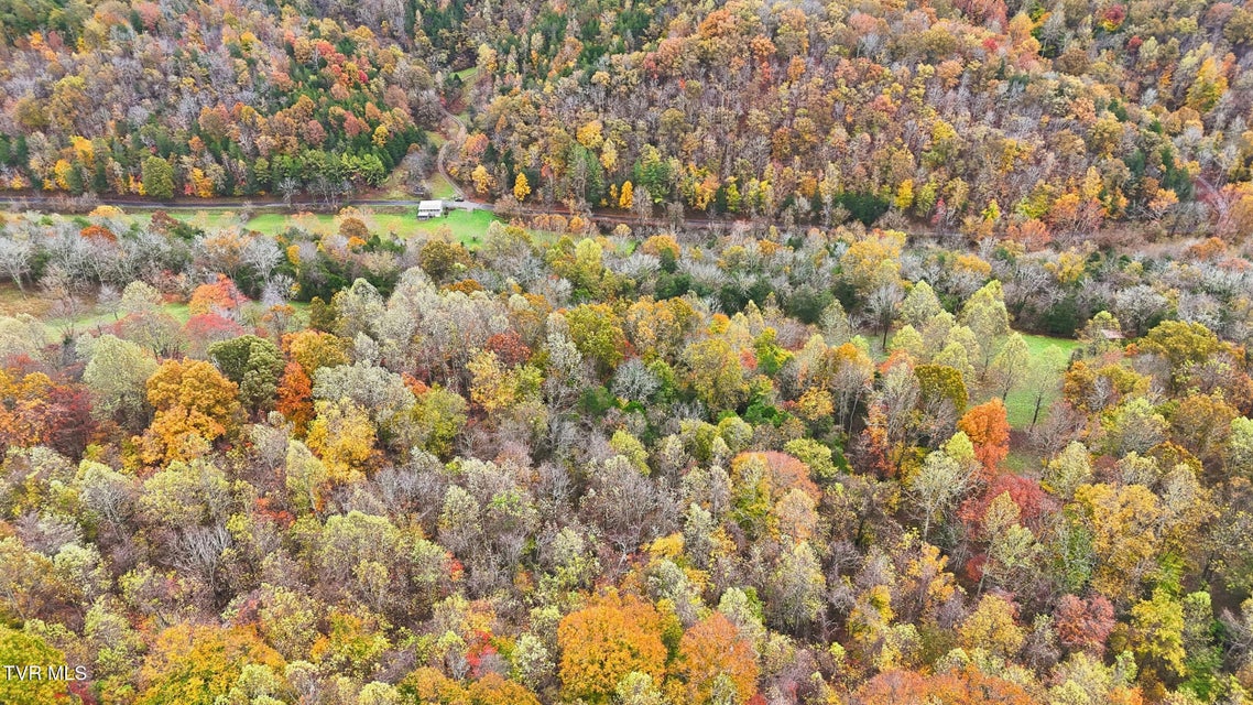 Photo #14: 5367 Clinch Mountain Road