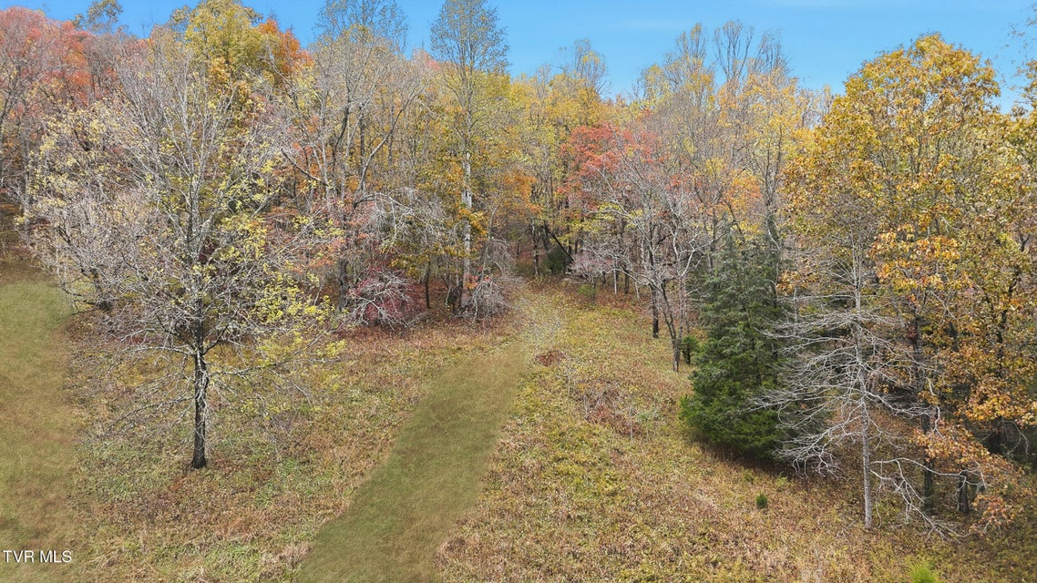 Photo #16: 5367 Clinch Mountain Road