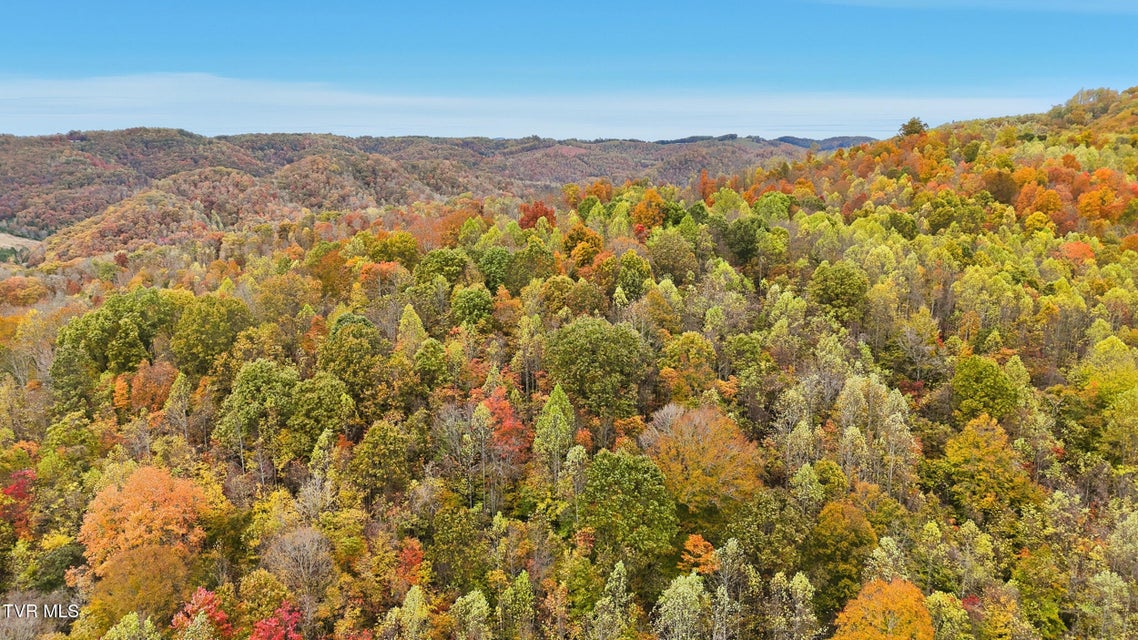 Photo #18: 5367 Clinch Mountain Road