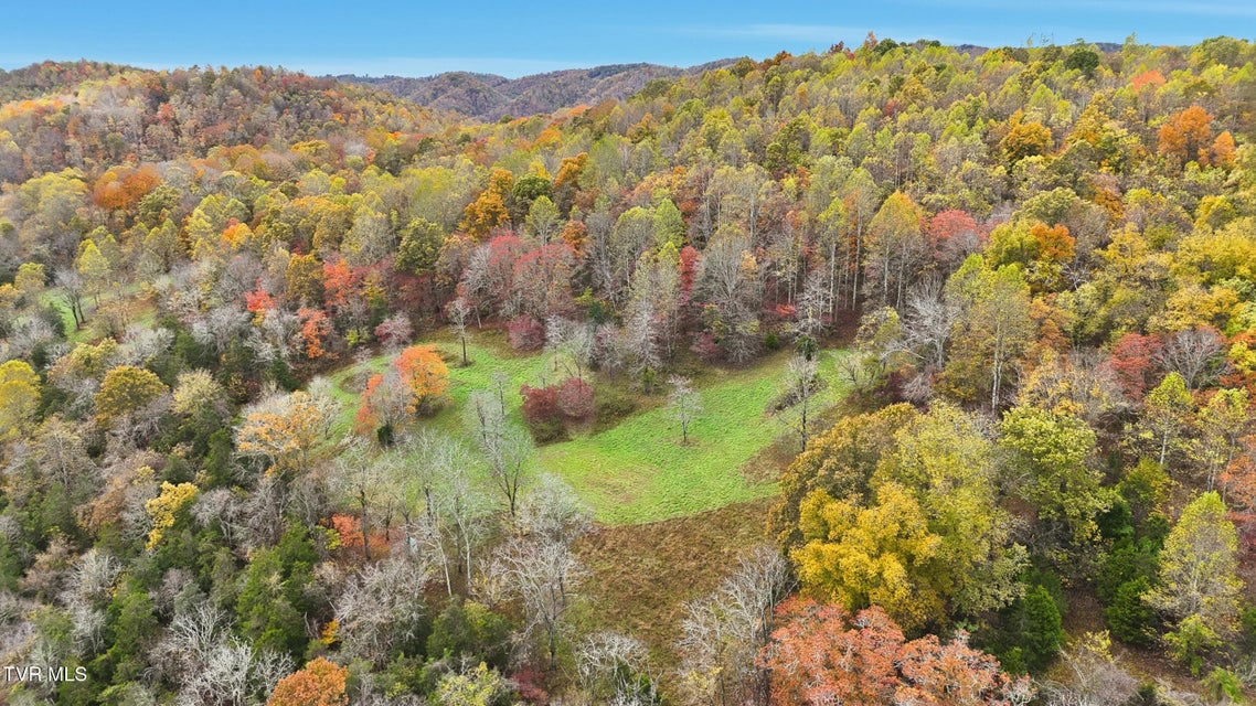Photo #21: 5367 Clinch Mountain Road