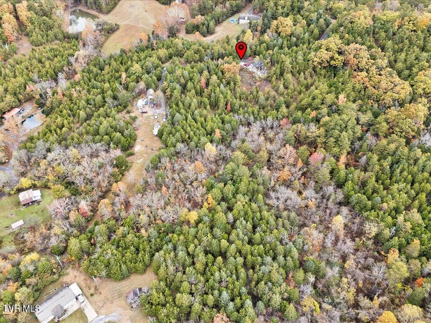 Photo #7: 359 Buzzard Roost Road