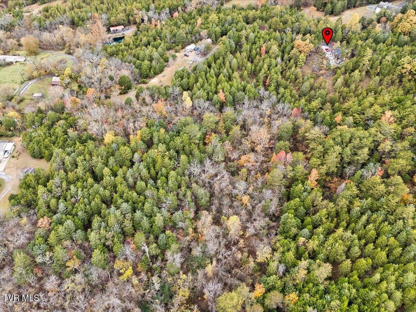 Photo #8: 359 Buzzard Roost Road