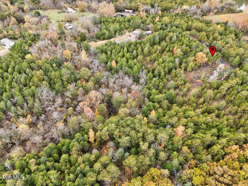 Photo #9: 359 Buzzard Roost Road