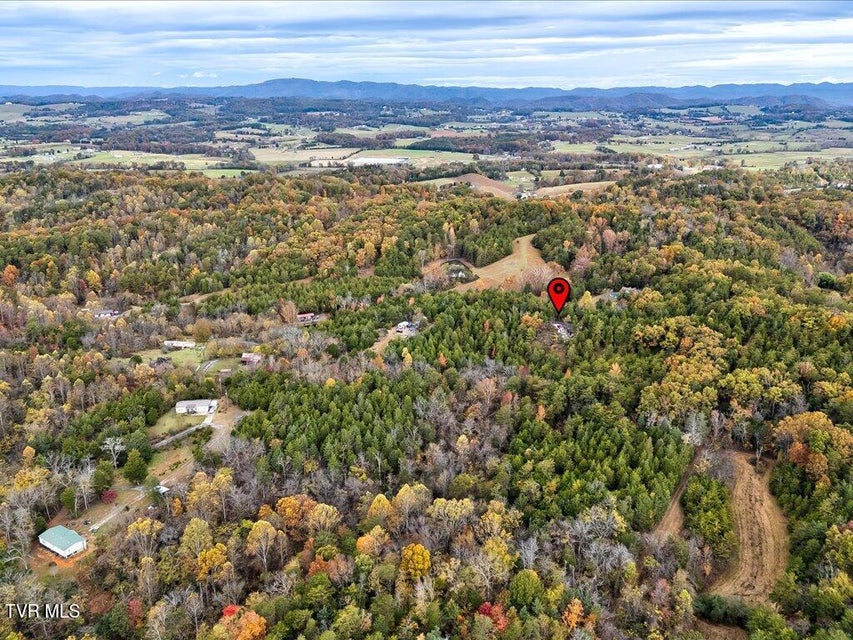 Photo #11: 359 Buzzard Roost Road