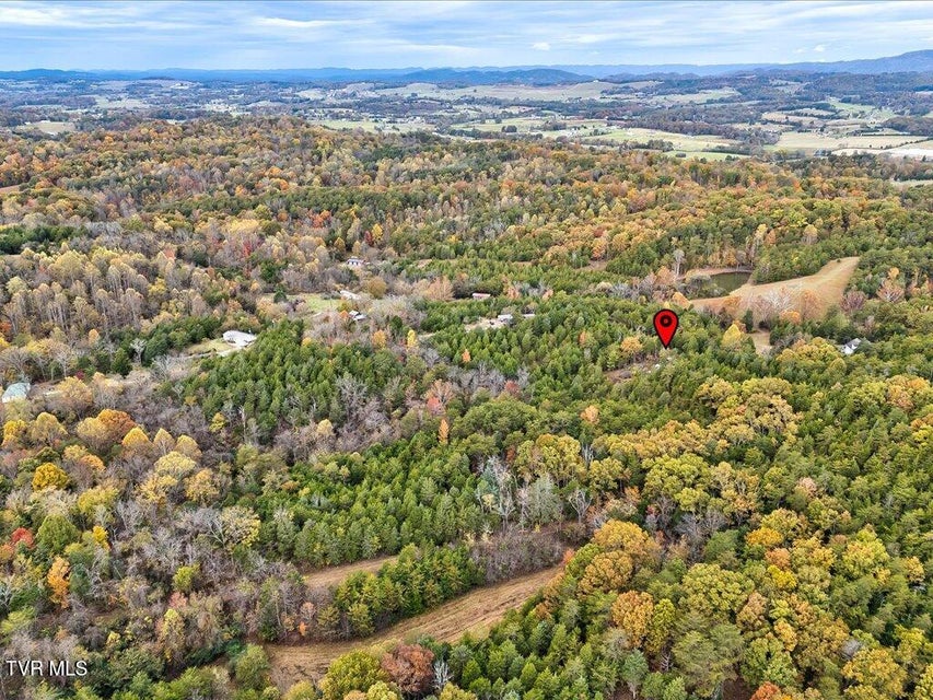 Photo #12: 359 Buzzard Roost Road