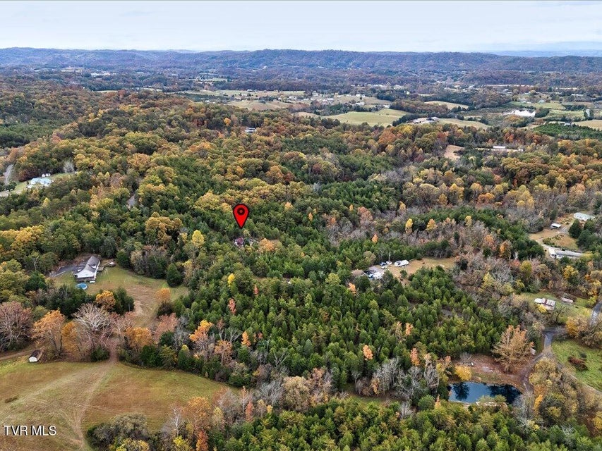 Photo #15: 359 Buzzard Roost Road