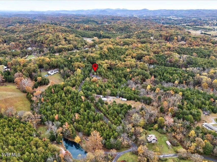 Photo #16: 359 Buzzard Roost Road