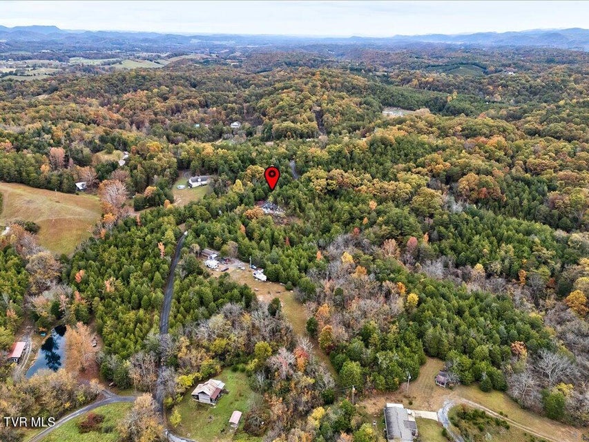 Photo #17: 359 Buzzard Roost Road