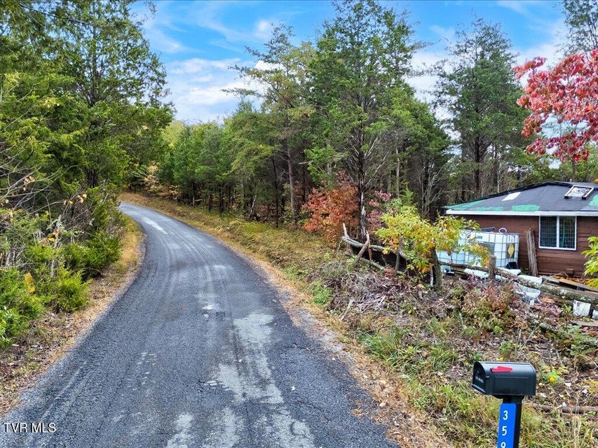 Photo #19: 359 Buzzard Roost Road