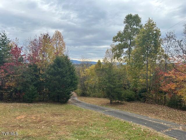 Photo #37: 111 Forester Lane