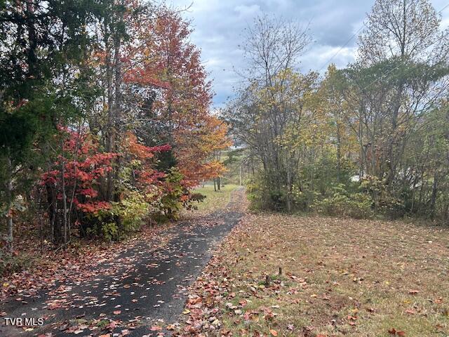 Photo #38: 111 Forester Lane