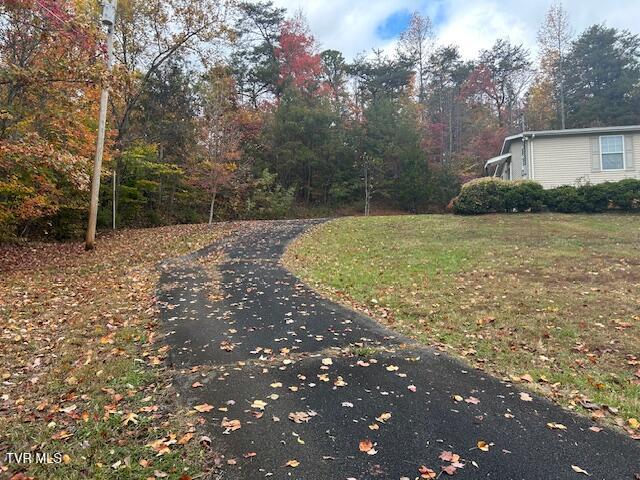 Photo #40: 111 Forester Lane