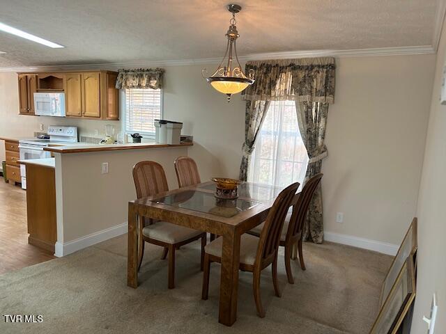 Photo #43: 111 Forester Lane