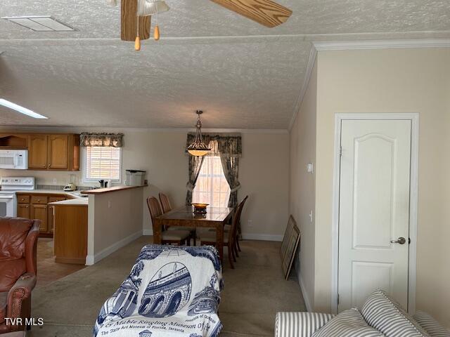 Photo #47: 111 Forester Lane