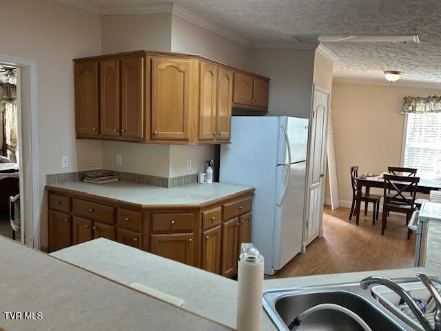 Photo #49: 111 Forester Lane