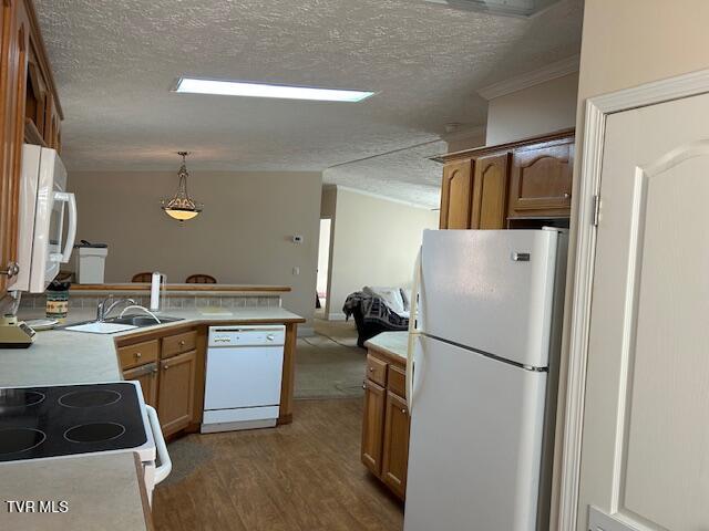 Photo #54: 111 Forester Lane