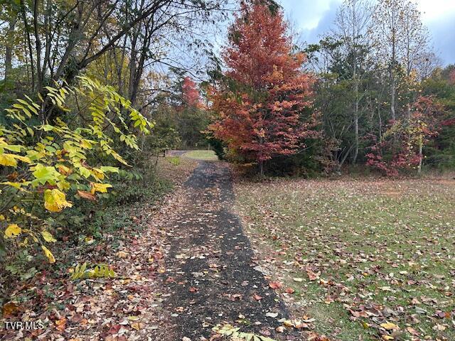 Photo #56: 111 Forester Lane