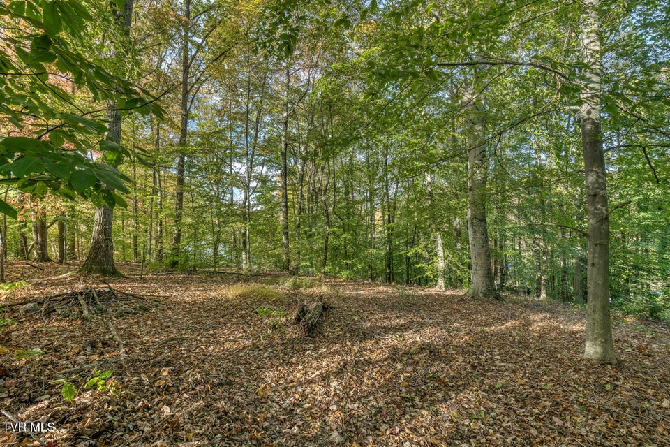 Photo #51: 329 Chestnut Grove Church Road