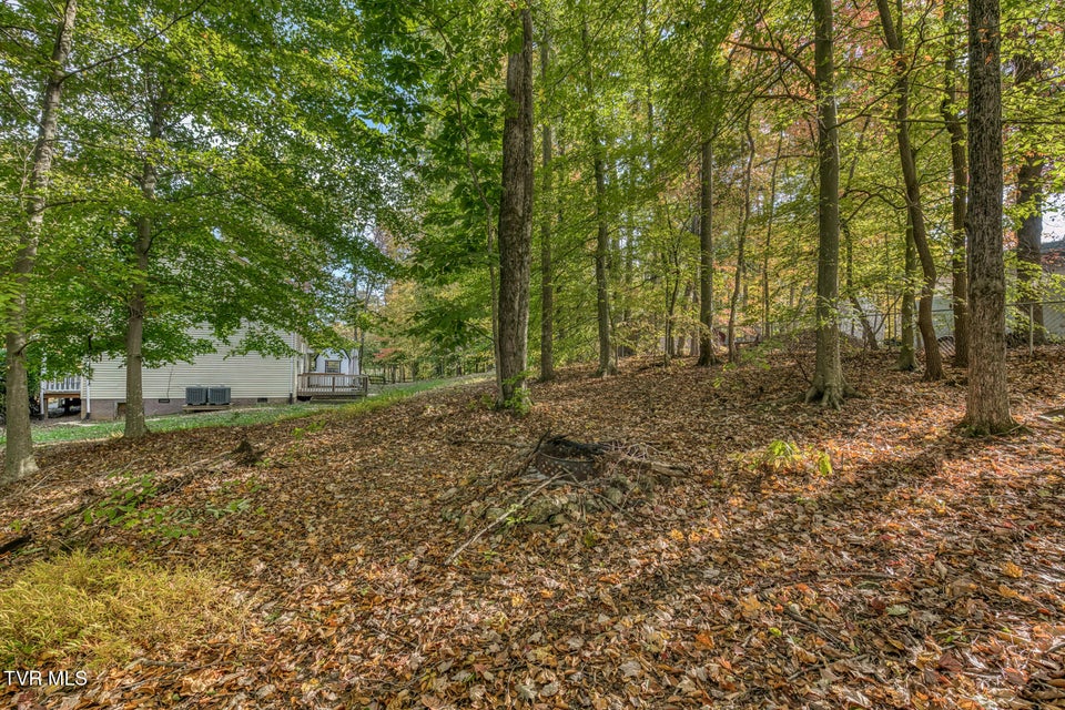 Photo #52: 329 Chestnut Grove Church Road