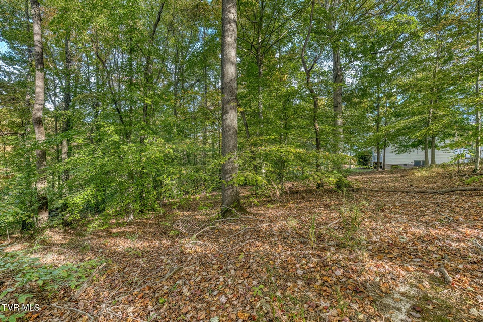 Photo #53: 329 Chestnut Grove Church Road