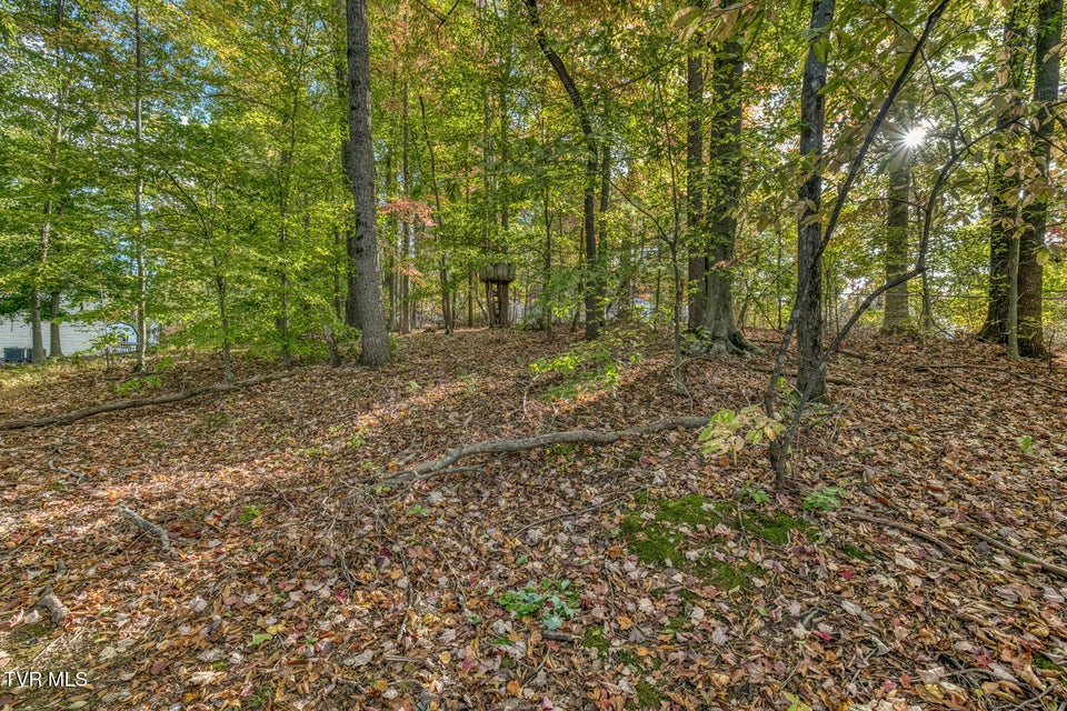 Photo #54: 329 Chestnut Grove Church Road