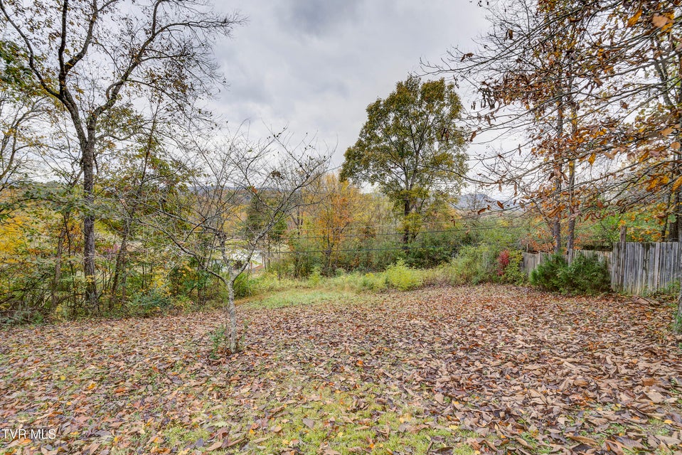 Photo #35: 135 Walnut Drive