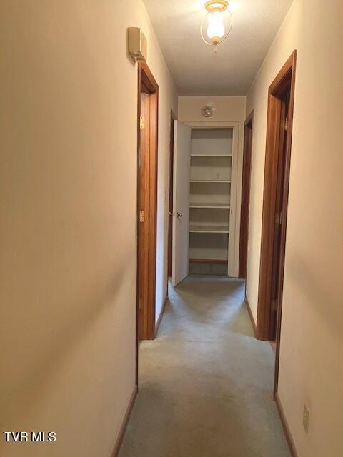 Photo #11: 1917 Club Drive