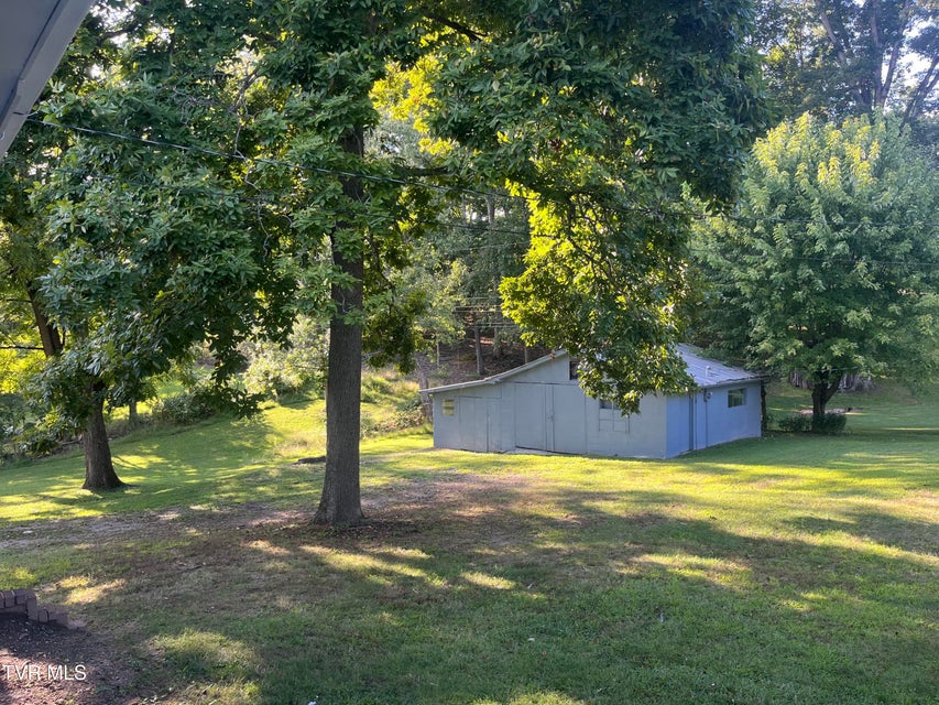 Photo #19: 441 Mimosa Street