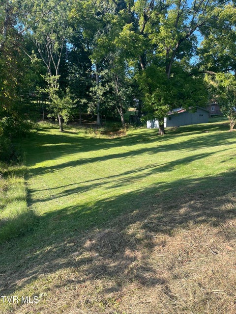 Photo #21: 441 Mimosa Street