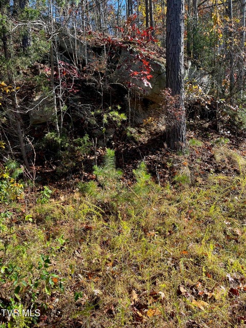 Photo #2: Tbd Big Ridge Road 