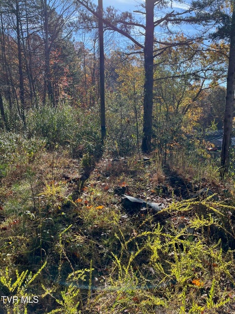 Photo #3: Tbd Big Ridge Road 