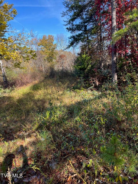 Photo #4: Tbd Big Ridge Road 