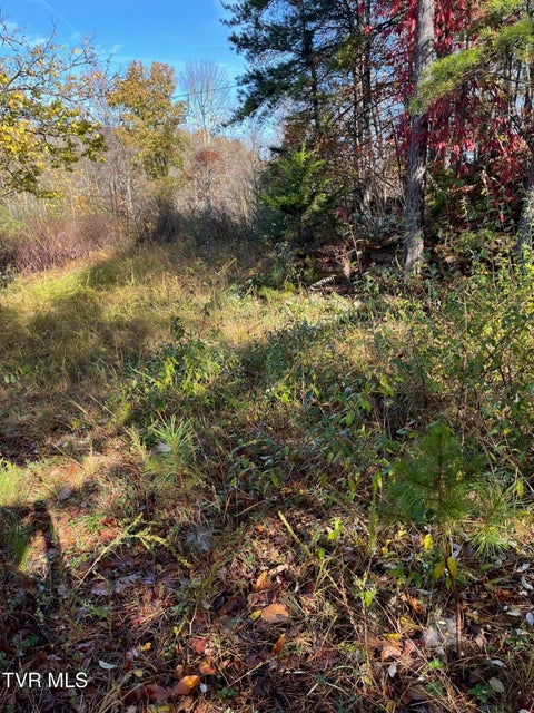 Photo #5: Tbd Big Ridge Road 