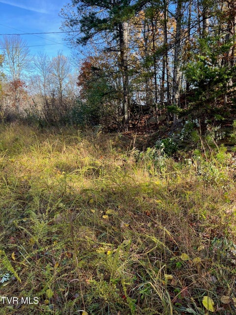 Photo #6: Tbd Big Ridge Road 