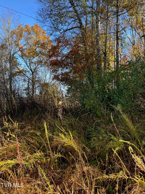 Photo #12: Tbd Big Ridge Road 