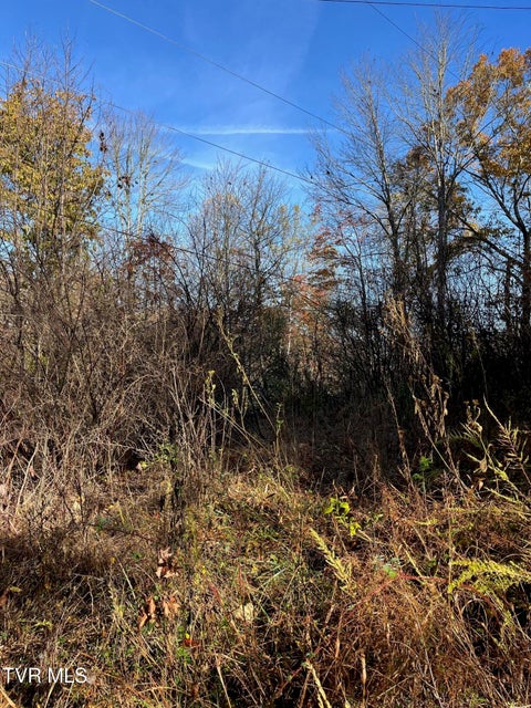 Photo #11: Tbd Big Ridge Road 