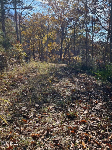 Photo #10: Tbd Big Ridge Road 