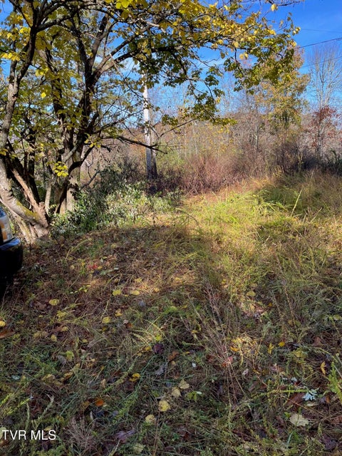 Photo #7: Tbd Big Ridge Road 