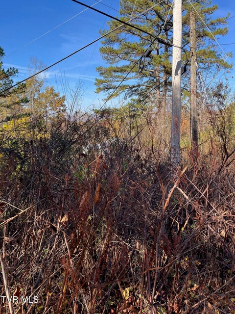 Photo #13: Tbd Big Ridge Road 