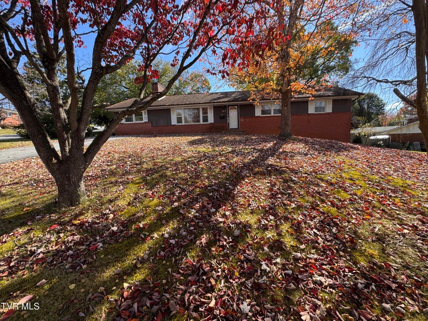 Photo #4: 505 Woodhaven Drive