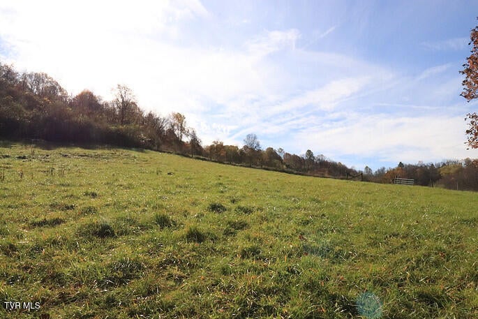 Photo #34: 2256 Whitley Branch Road