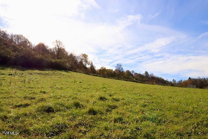 Photo #35: 2256 Whitley Branch Road